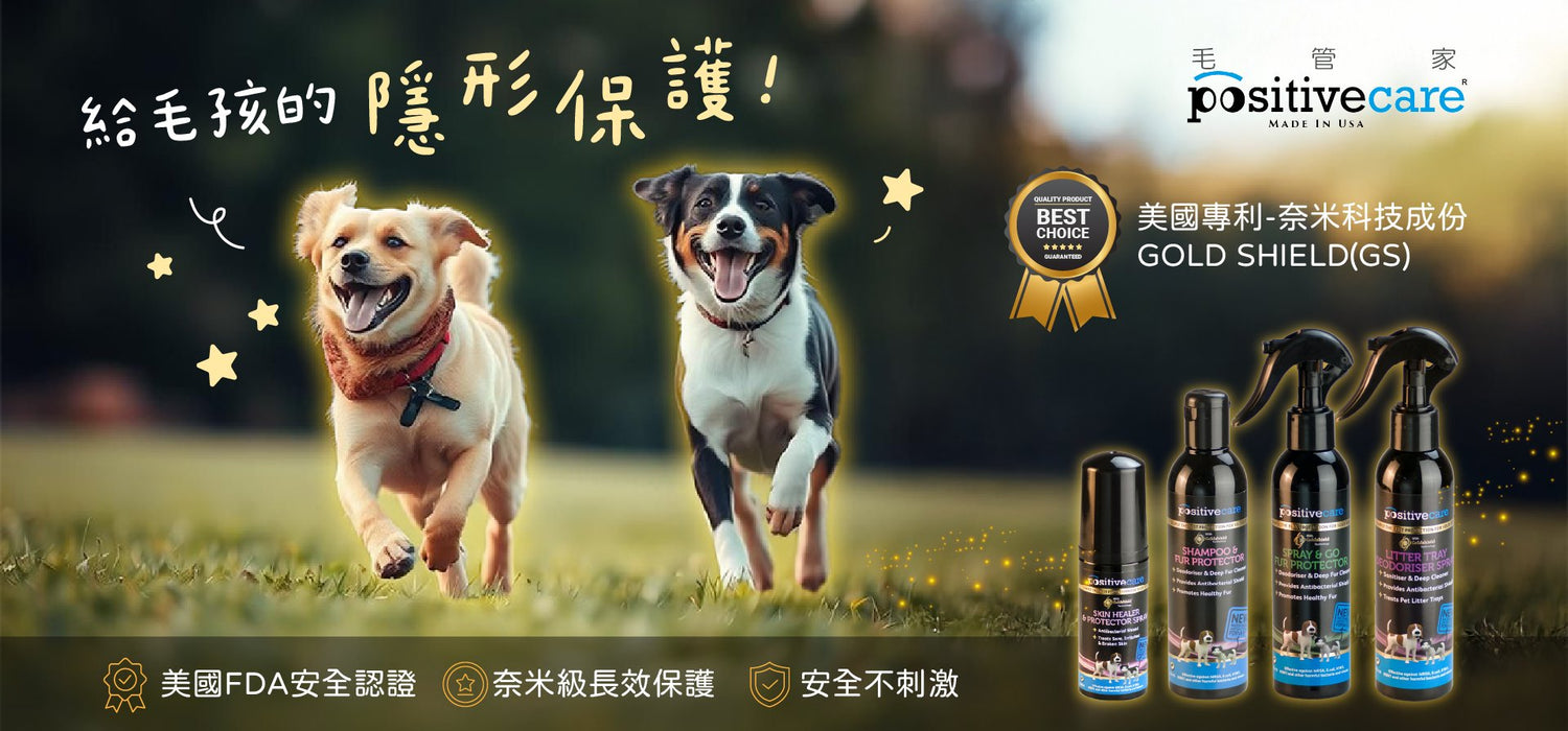 皮膚專家｜毛管家