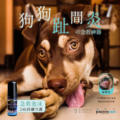 毛管家【皮膚保護】療癒泡泡 一天一次針對體膚問題保護(貓狗適用)