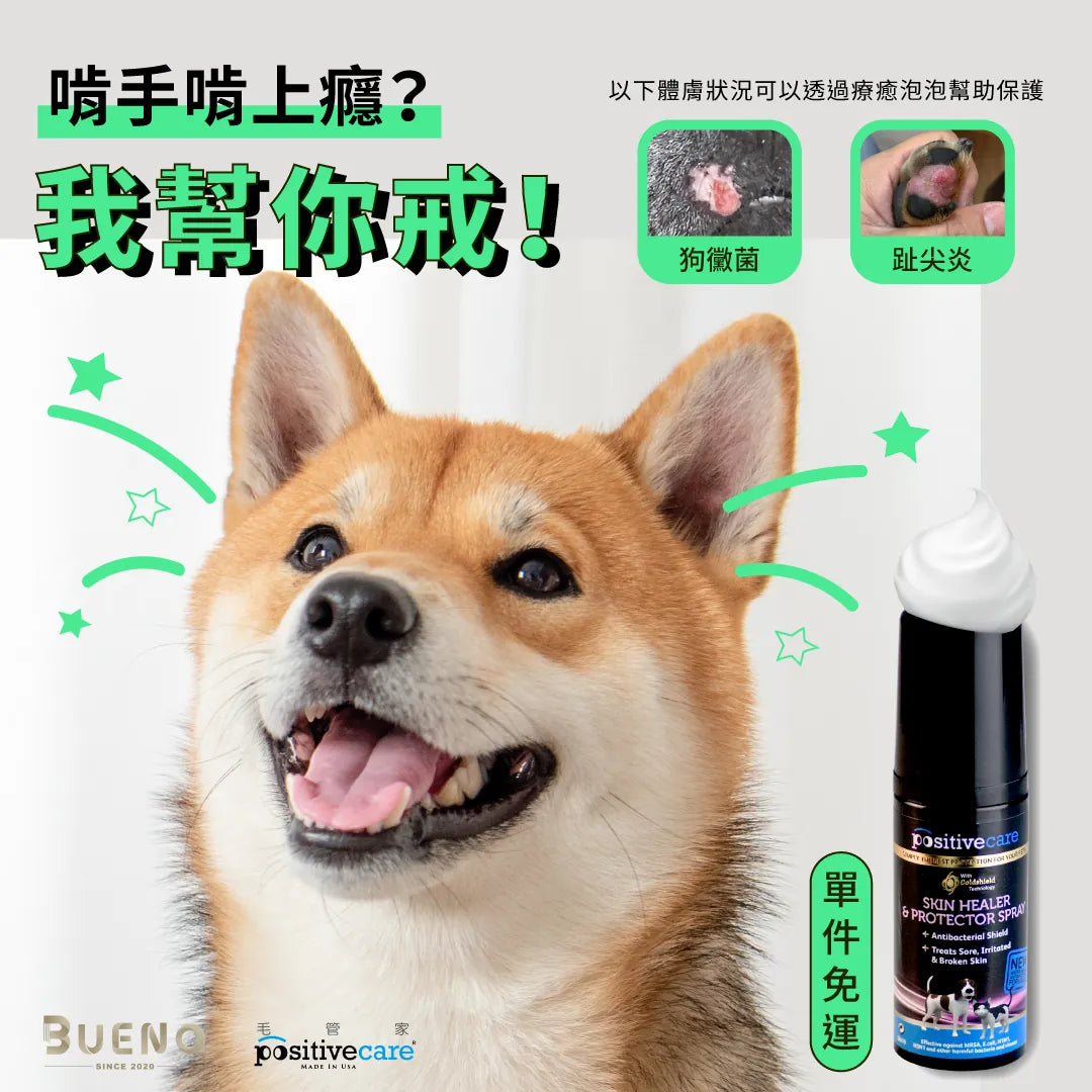 毛管家【皮膚保護】療癒泡泡 一天一次針對體膚問題保護(貓狗適用)